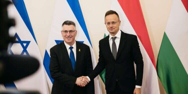 סער בהונגריה: צווי האג הם ניסיון אנטישמי למנוע מישראל להגן על אזרחיה