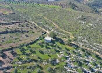 אחרי העתירה לבג"ץ: המנהל האזרחי יהרוס את המבנה הלא חוקי בגוש עציון