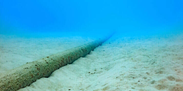 כבל תת-ימי באזור יפן. צילום: שאטרסטוק האם האינטרנט שלנו יכול פתאום להיעלם? המלחמה בפגיעה בכבלים התת-ימיים
