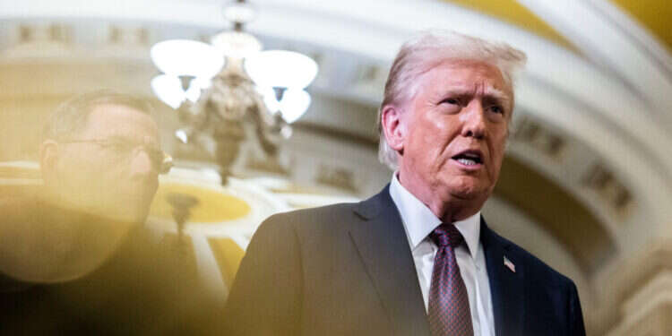 הנשיא הנבחר דונלד טראמפ. Valerie Plesch/Bloomberg