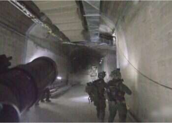 לוחמי שלדג בפעילות בסוריה. צילום: דובר צה