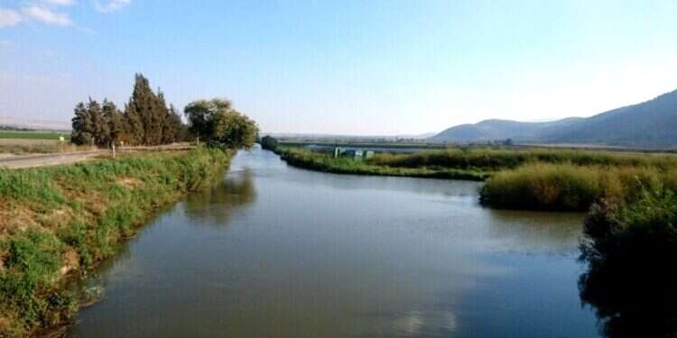 מבט מגשר הכניסה לאגמון אל מורד התעלה המערבית. צילום: רשות ניקוז ונחלים כינרת אגמון החולה: יוקמו שלושה גשרים חדשים ומפעל ניקוז