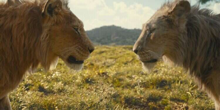צילום: באדיבות פורום פילם