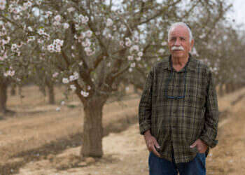 משה לוי. צילום: לירון מולדובן