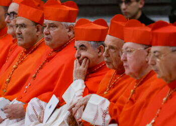 קרדינלים, צילום: EPA/FABIO FRUSTACI