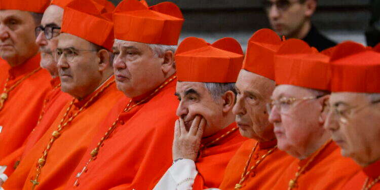 קרדינלים, צילום: EPA/FABIO FRUSTACI