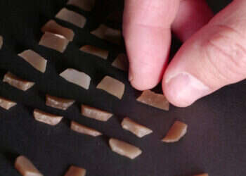 ראשי חץ שהתגלו בחפירה ומוכרים מתימן ומעומאן. צילום: אמיל אלג'ם, רשות העתיקות ראשי חץ מתימן: עדויות לשיירות סוחרים מלפני כ-2,500  שנה נחשפו בנגב