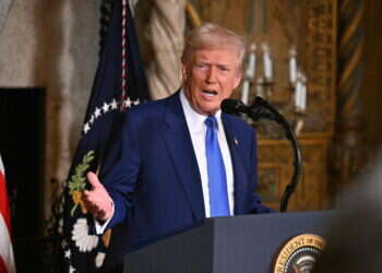 נשיא ארה"ב דונלד טראמפ. צילום: AFP