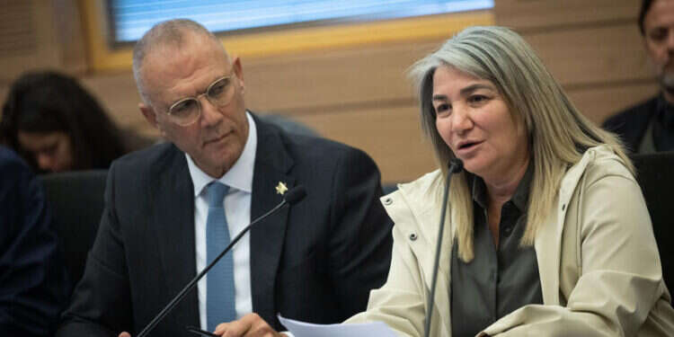 דרורית שטיינמץ בדיון בוועדה בכנסת, לצידה מנכ עתירה לבג"ץ: לבטל את מינוי דרורית שטיינמץ למ"מ מנכ"ל משרד ראש הממשלה