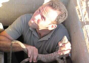 אוהד יהלומי. צילום: רשות הטבע והגנים זוהו שלמה מנצור, איציק אלגרט, אוהד יהלומי וצחי עידן שנרצחו בשבי חמאס