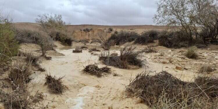 נחל רביבים בשיטפון. צילום - ג'מיל אטרש, רשות הטבע והגנים צפו: זרימות מרהיבות ושיטפונוות עזים מהצפון ועד הנגב