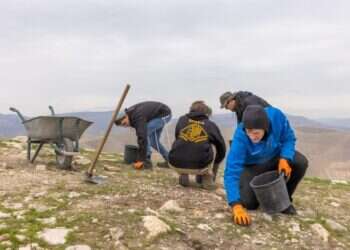 חפירות ארכיאולוגיה בסרטבה. צילום: יוסי אלוני