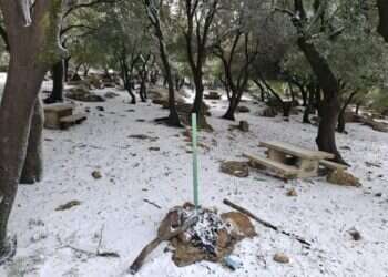 שלג בהר מירון. צילום: שי מסיקה, רשות הטבע והגנים צפו: זרימות מרהיבות ושיטפונוות עזים מהצפון ועד הנגב