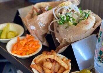 פלאפל עופר. צילום: ג'ו ונאוה