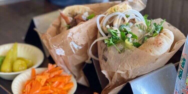 פלאפל עופר. צילום: ג'ו ונאוה