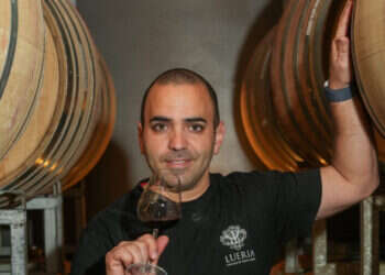 "יין נתפס כמשקה מסובך, אבל כשהענבים טובים זה פשוט"