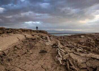 נדנדת מזג האוויר: עלייה בטמפרטורות ורוחות חזקות