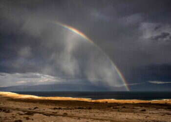 נדנדת מזג האוויר: עלייה בטמפרטורות ורוחות חזקות