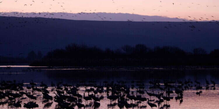 השירה של רותם אמיתי פועלת כמו מזג אוויר
