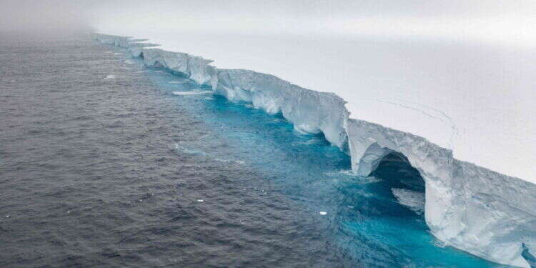 חיות הבר ניצלו? הקרחון הגדול בעולם עלה על שרטון