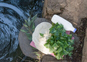 חביטורטייה. צילום: אפרת מוסקוביץ