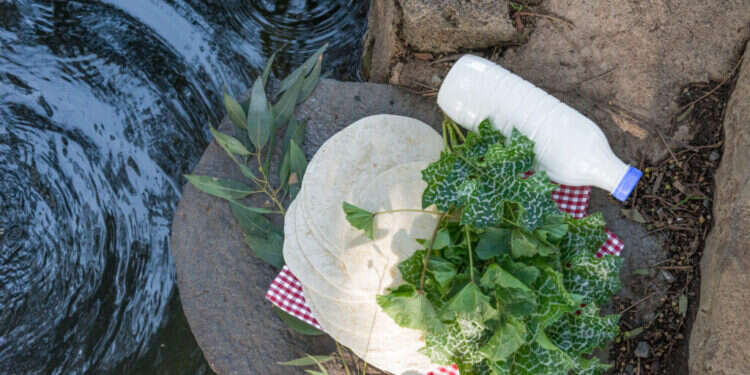 צילום: אפרת מוסקוביץ חביטורטייה. צילום: אפרת מוסקוביץ