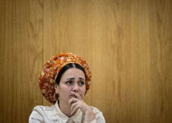 סון הר-מלך: המדינה מנסה להסתיר את מחיר העסקה האמיתי