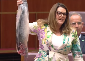 "מסריח": תעלול הדג המת של חברת הפרלמנט האוסטרלית