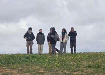 פעיל שמאל קיצוני דרס יהודי ותקף אותו כשהוא שוכב פצוע