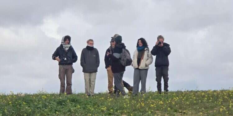 אנרכיסטים. צילום: דוברות הר חברון פעיל שמאל קיצוני דרס יהודי ותקף אותו כשהוא שוכב פצוע