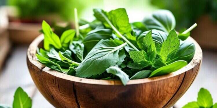 טרנד חדש בטיקטוק: האם אכילת תרד נא תורמת לבריאות?