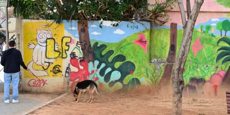 גינת כלבים. אילוסטרציה. צילום: יוסי זליגר ת"א: גינת כלבים פועלת על קרקע שהוקדשה למקווה