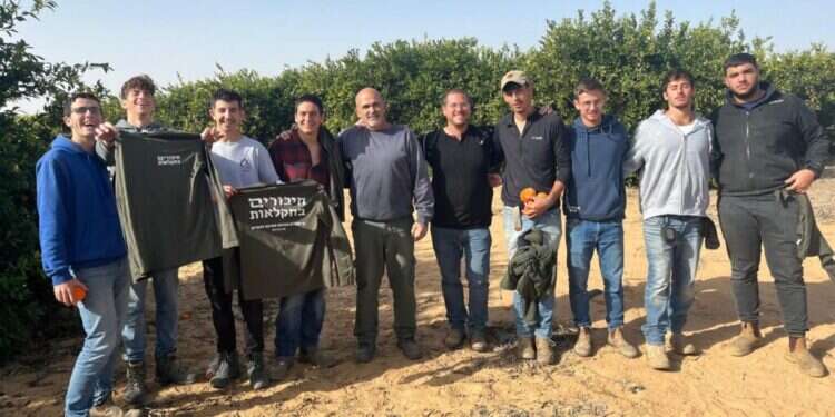 גרעיני הנח"ל החדשים: בני עקיבא החלה לגייס מתנדבים