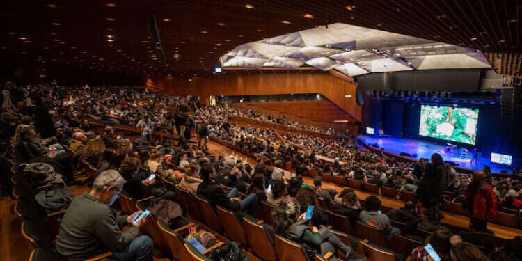 פצ׳ה קוצ׳ה. צילום: חיים יפים ברבלט אביב גפן מופיע והסינמטק חוגג 50: מה שעולה השבוע