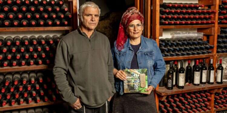 עמיחי ורינה אריאל. צילום: נעמה שטרן עמיחי ורינה אריאל. צילום: נעמה שטרן