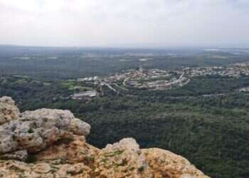 חוזרים לצפון: מסלולים, יקבים ונקודות חמד – חלק ב'