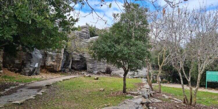 חוזרים לצפון: מסלולים, יקבים ונקודות חמד – חלק ב'