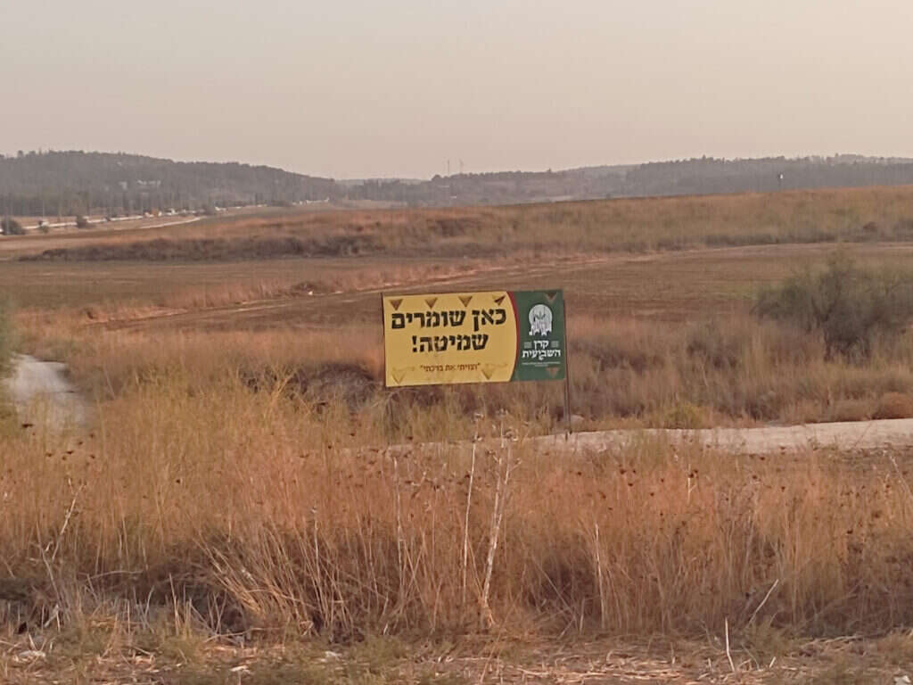 מהזדמנות לתיקון חברתי ורוחני הפכה השמיטה לאיום דתי. צילום: אביגיל זית