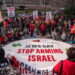 חוץ מהאורתודוקסים: רבים מיהודי ארה"ב מתייצבים לצד תומכי חמאס