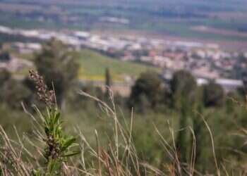 שלום הגליל: המסלולים המומלצים לחול המועד בצפון
