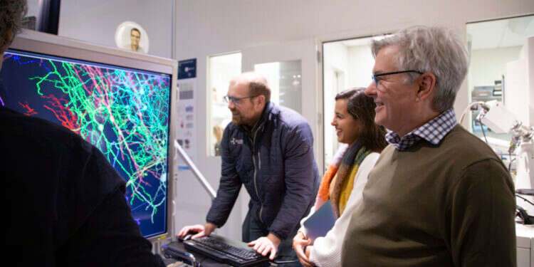 קולמן, אלבאדי וריד בוחנים את הדמיית הנוירונים במכון אלן בסיאטל. צילום: איי.פי העכבר צפה בסרט "המטריקס" והמדענים התקדמו בזכותו בחקר המוח