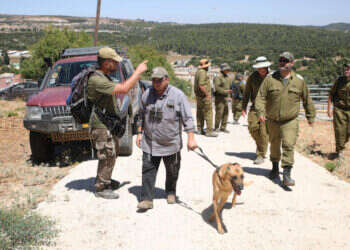 חיפושים אחר מוישי קליינרמן באזור מירון. צילום: דוד כהן - פלאש 90