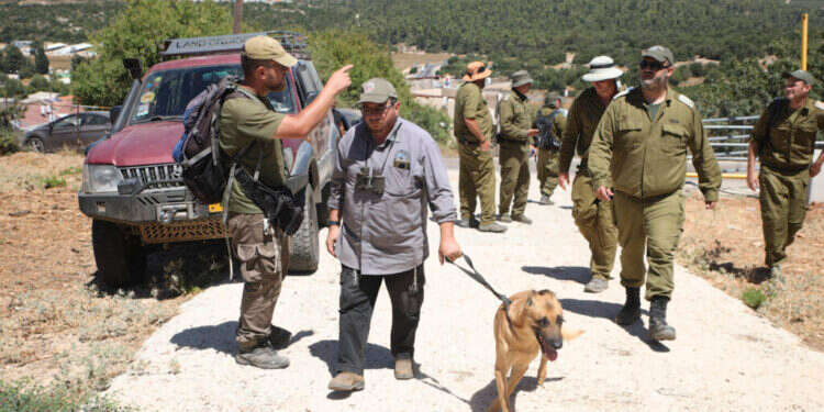 חיפושים אחר מוישי קליינרמן באזור מירון. צילום: דוד כהן - פלאש 90