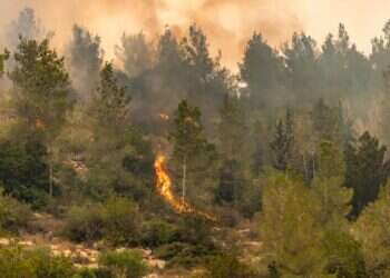 שריפות הענק: הפעילות תימשך גם בשעות הלילה
