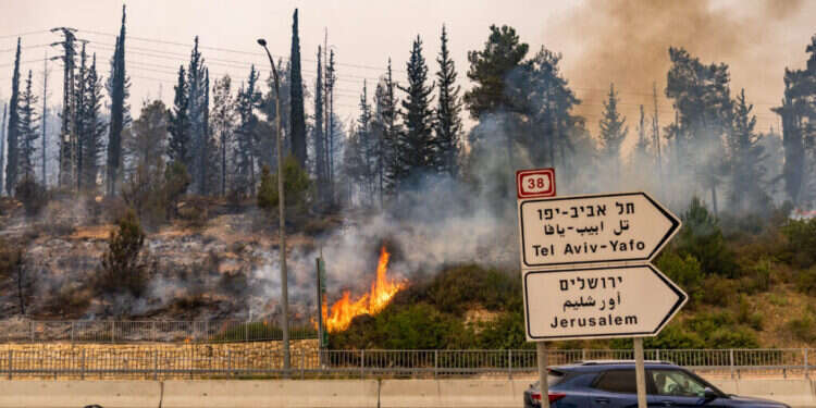 אש מתפשטת בסמוך לאשתאול. צילום: חיים גולדברג, פלאש 90 שריפות הענק: הפעילות תימשך גם בשעות הלילה