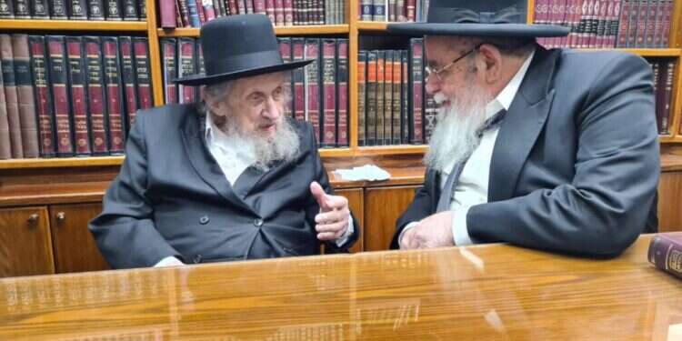 הרב דוב לנדו והרב אברהם סלים. ללא קרדיט מנהיגי ש"ס ודגל התורה מתאחדים נגד גיוס החרדים