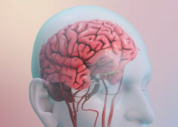 מחקר: אילו הרגלים כדאי לשנות כדי לצמצם סיכון לשבץ, דיכאון ודמנציה