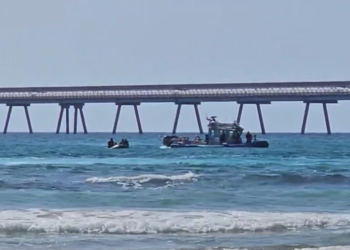 חדרה: טרם נמצא האדם שהותקף על ידי כריש – החופים באזור נסגרו