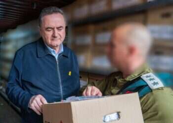 "500 מיליון דולר להשמדת ישראל": נחשפו ההתכתבויות בין איראן לסינווואר