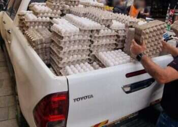 המחסור בביצים: כמות גדולה של סחורה לא ראויה למאכל נמצאה בדוכן בשוק